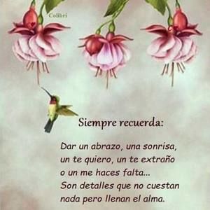 Meet your Posher, Anai